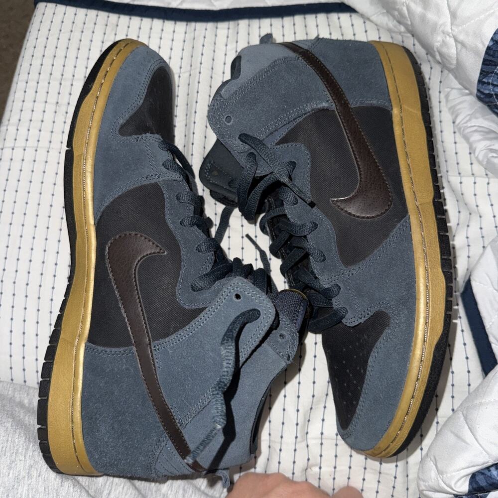 Size 11.5 - Nike Dunk Pro Sb High Classic Charcoal Tar LEP